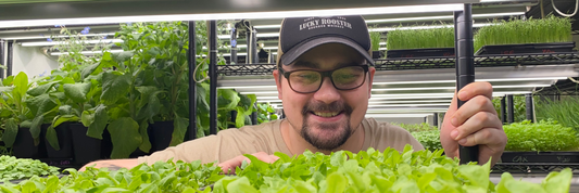 Chef Dylan Alexander looks over the large leaf sorrel used in his customer Bittersweet Symphony Mission Microgreen Mix