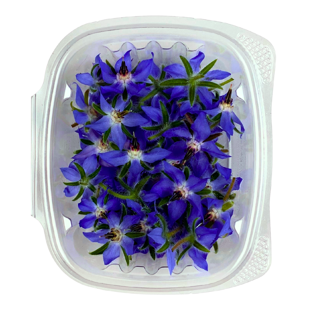 Borage Flowers