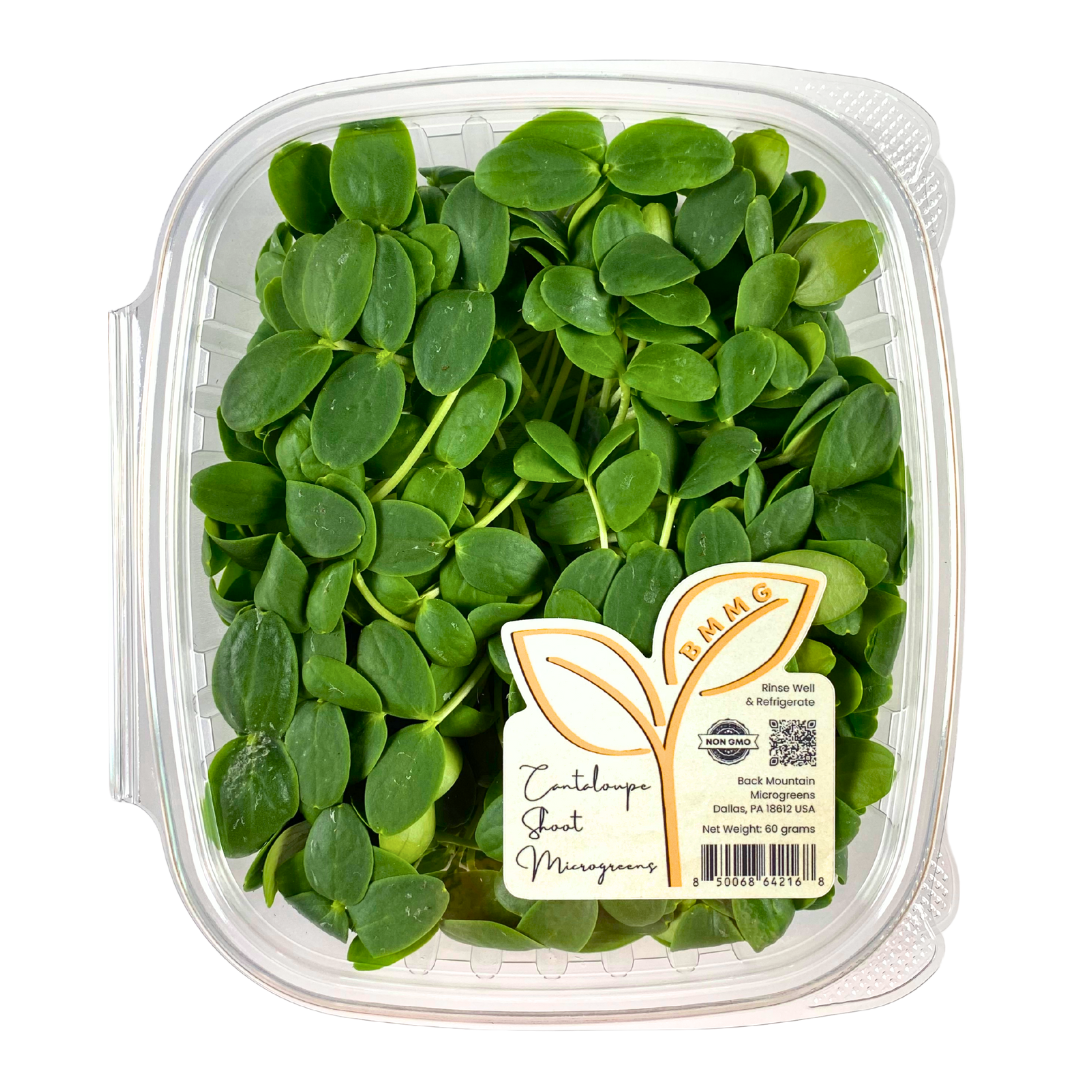 Cantaloupe Shoot Microgreens