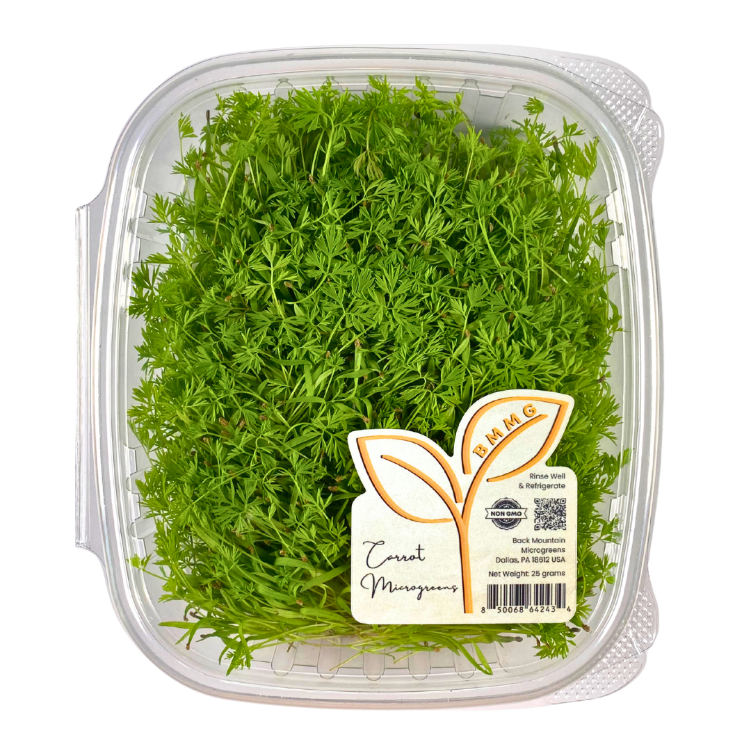 Carrot Microgreens