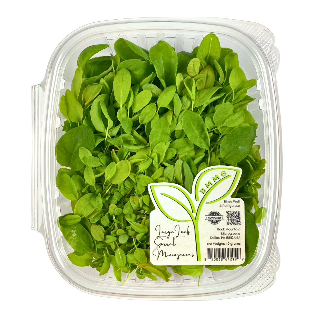 Large Leaf Sorrel Microgreens