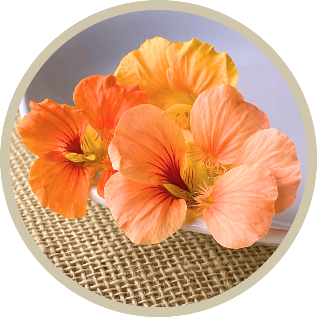 Nasturtium Flowers