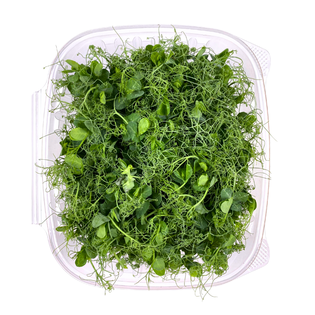Pea Tendril Microgreens