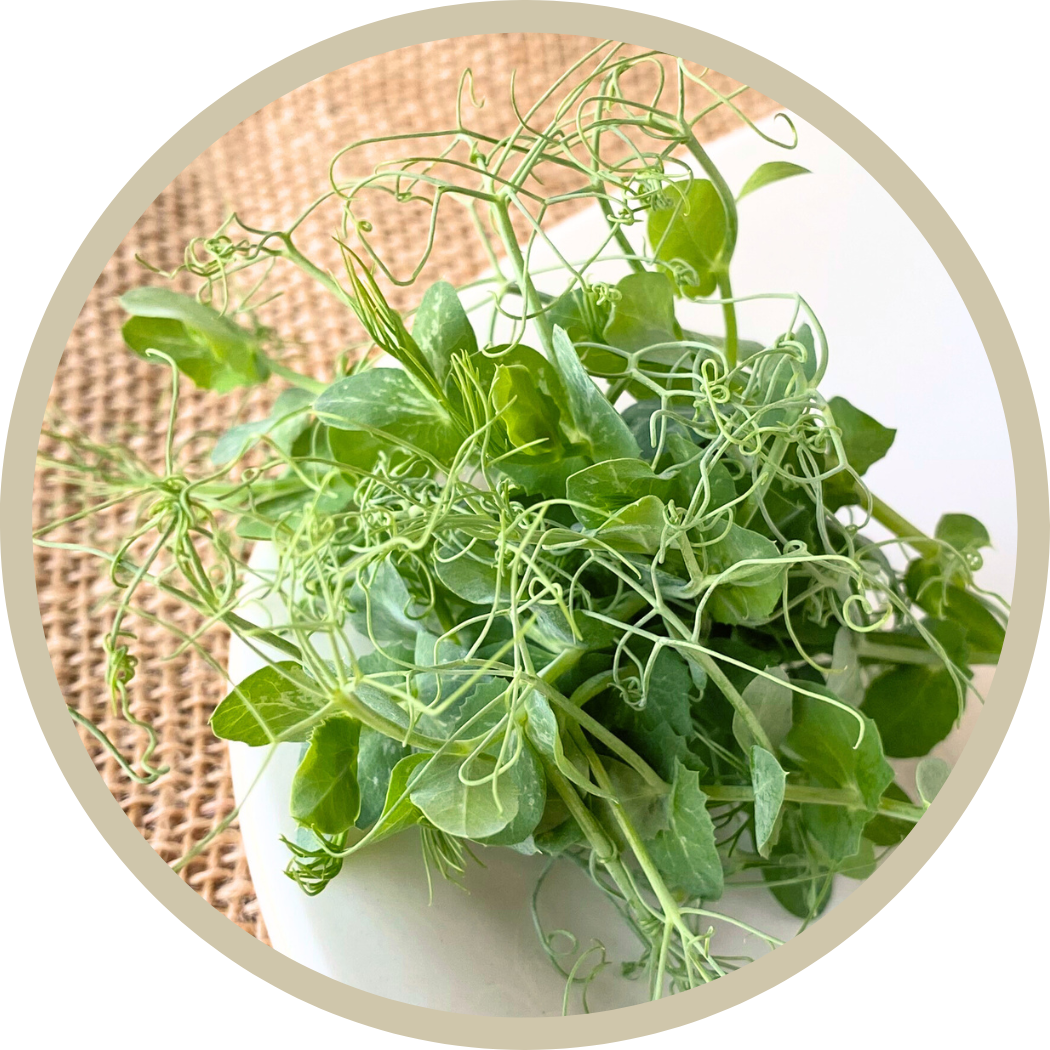 Pea Tendril Microgreens