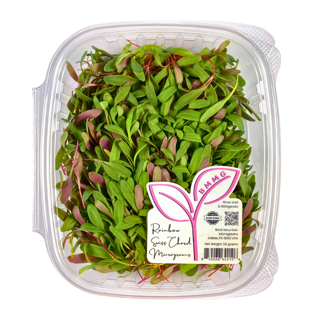 Rainbow Swiss Chard Microgreens