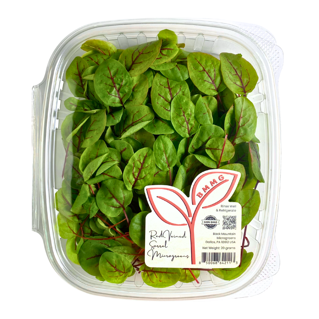 Red Veined Sorrel Microgreens
