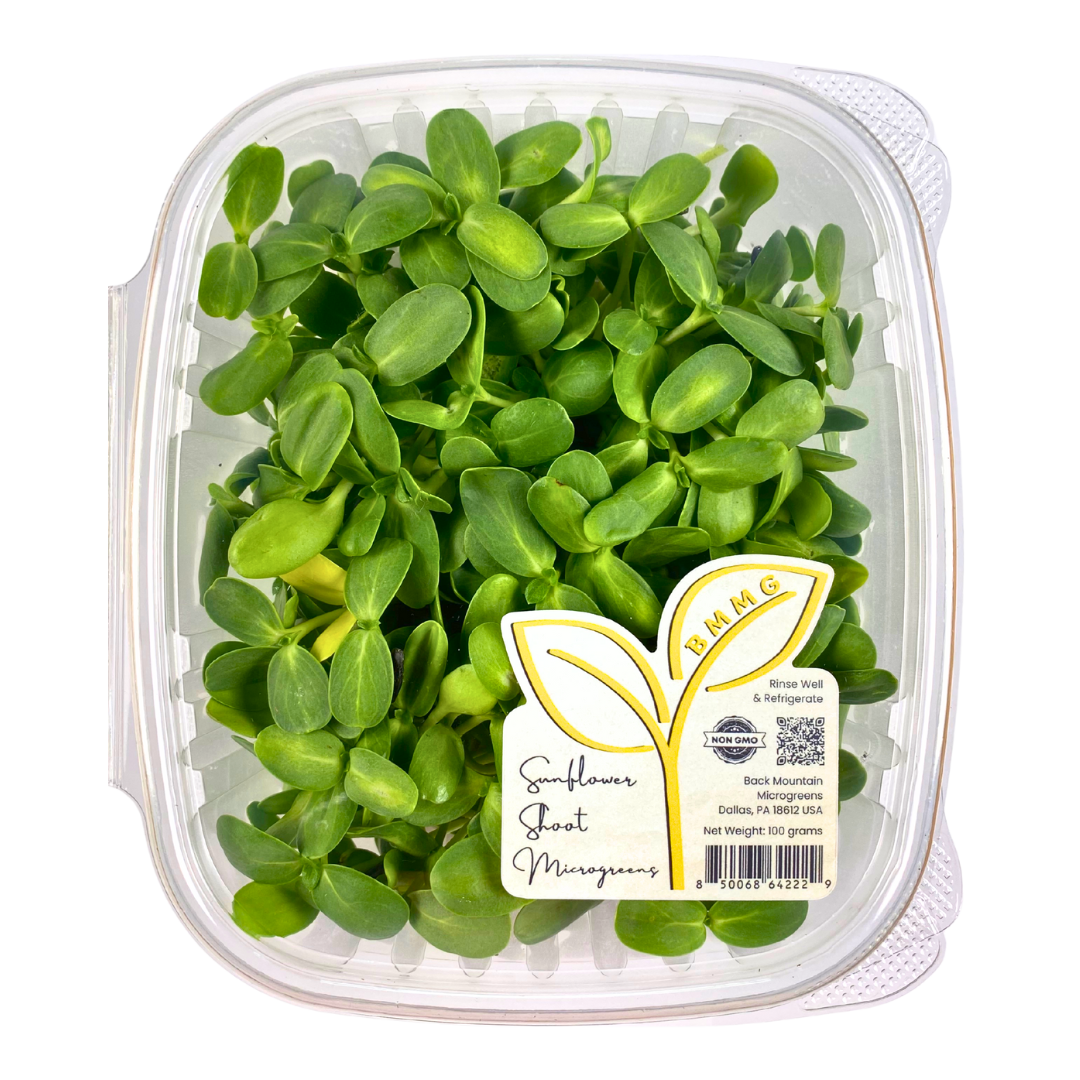 Sunflower Shoot Microgreens