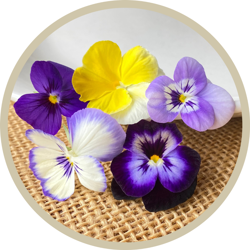 Viola Flower