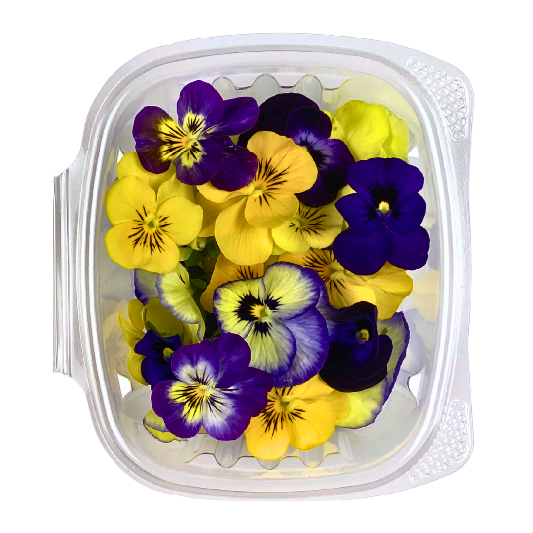 Viola Flower