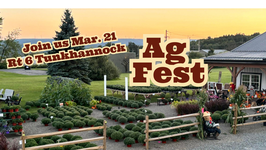 Local Markets, Local Neighbors: Join Us at Ag Fest at Hilltop Farms Marketplace