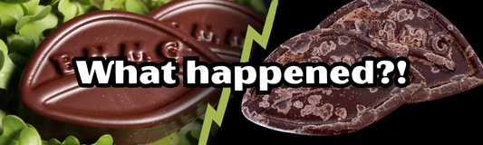 Real Ingredients, Real Imperfections: Understanding Bloom on Chocolate