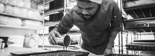 Meet Executive Chef Jeremiah Edwards and his Mari-Jae Mission Microgreen Mix
