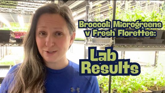 Nutrient Density of Microgreens: What Our Lab Results Really Show