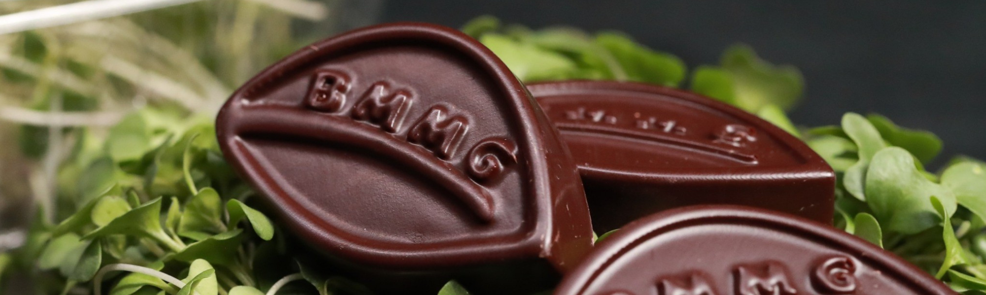 The Best Clean Ingredient Dark Chocolate – Back Mountain Microgreens