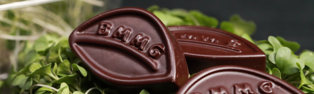 The Best Clean Dark Chocolate: Cacao, Honey, Microgreens, and Sea Salt
