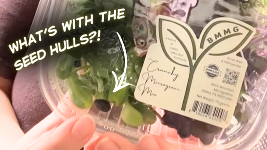 Why We Leave the Hulls On Our Sunflower Microgreens (On Purpose)