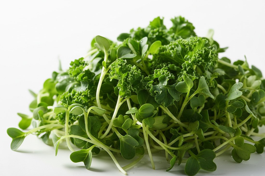 The Benefits of Kale Microgreens
