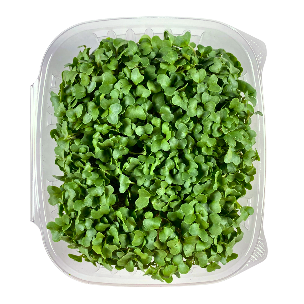 Microgreens – Back Mountain Microgreens