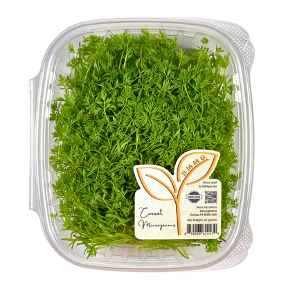 Carrot Microgreens