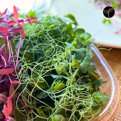 Chef Kim McLendon's Mission Microgreen Mix