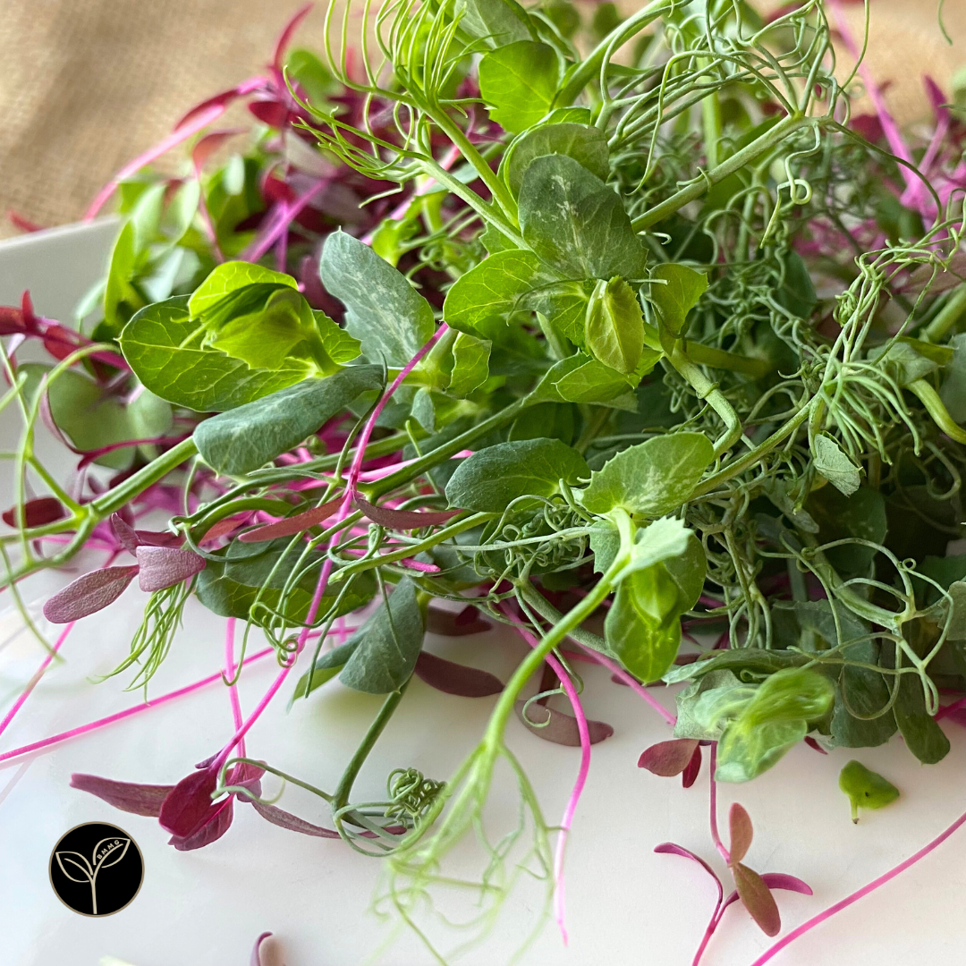 Chef Kim McLendon's Mission Microgreen Mix