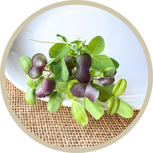 Crunchy Microgreen Mix