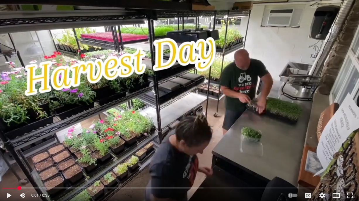 Load video: It&#39;s Harvest Day in Time Lapsed Format