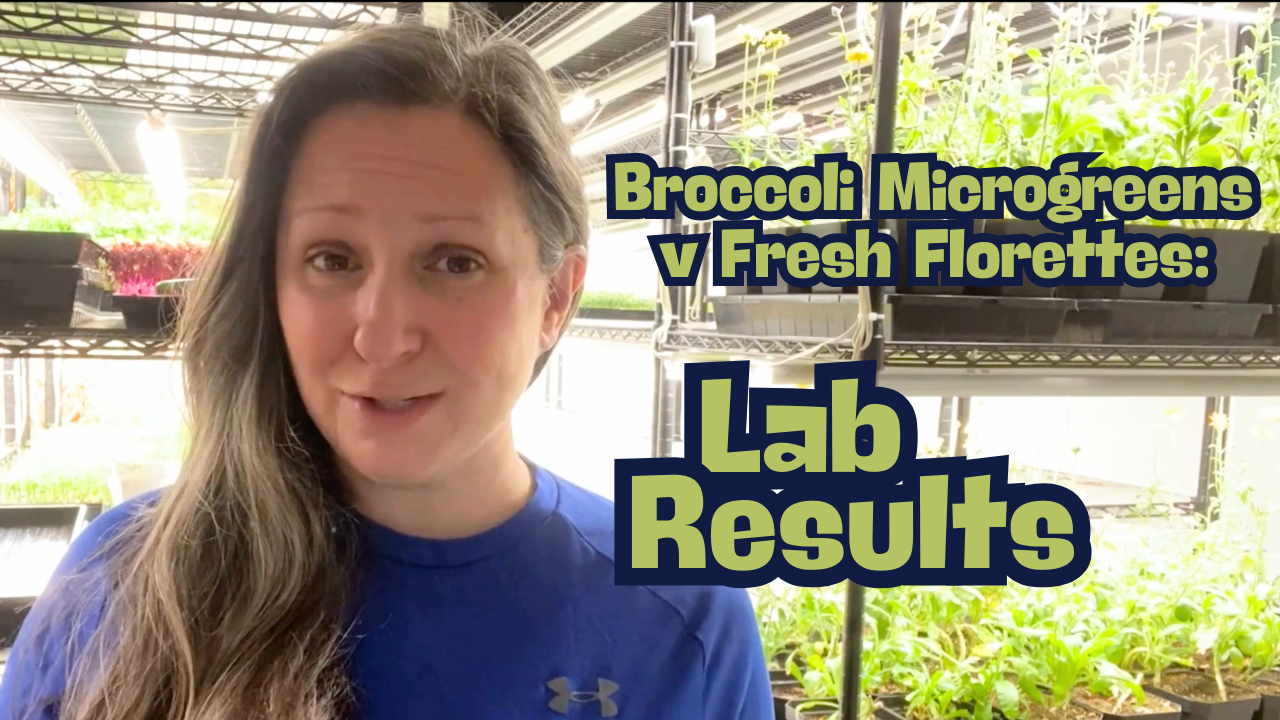 Load video: Lab Results:  broccoli Microgreens vs USDA numbers