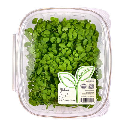 Italian Basil Microgreens