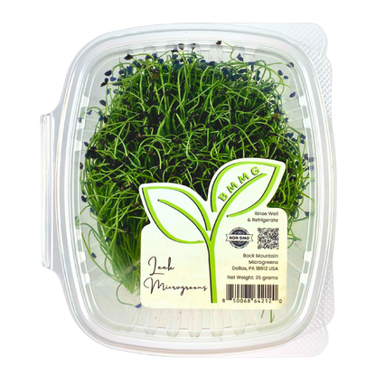 Leek Microgreens