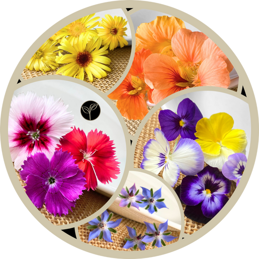 Miscellaneous Flowers