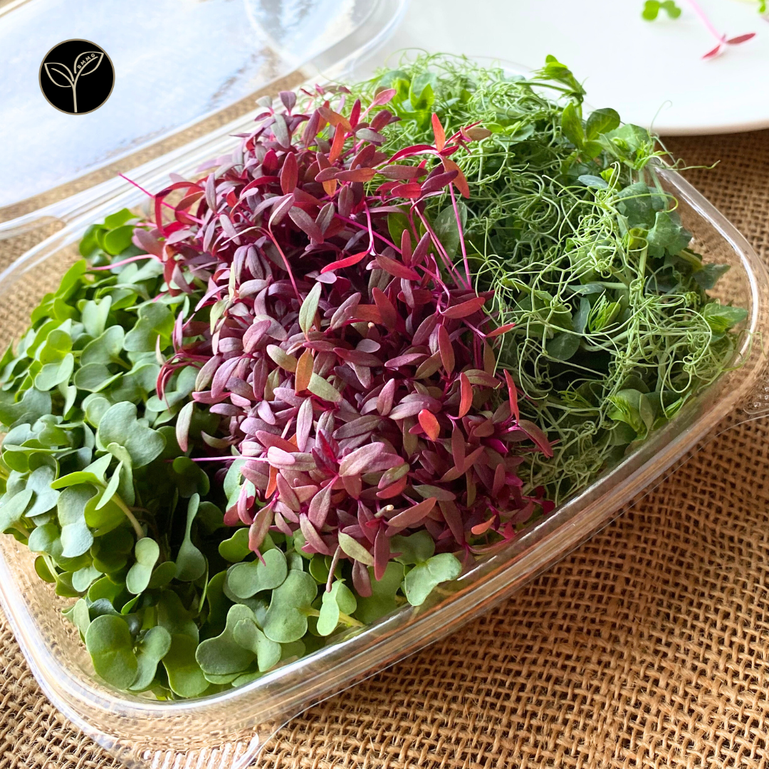 Chef Kim McLendon's Mission Microgreen Mix