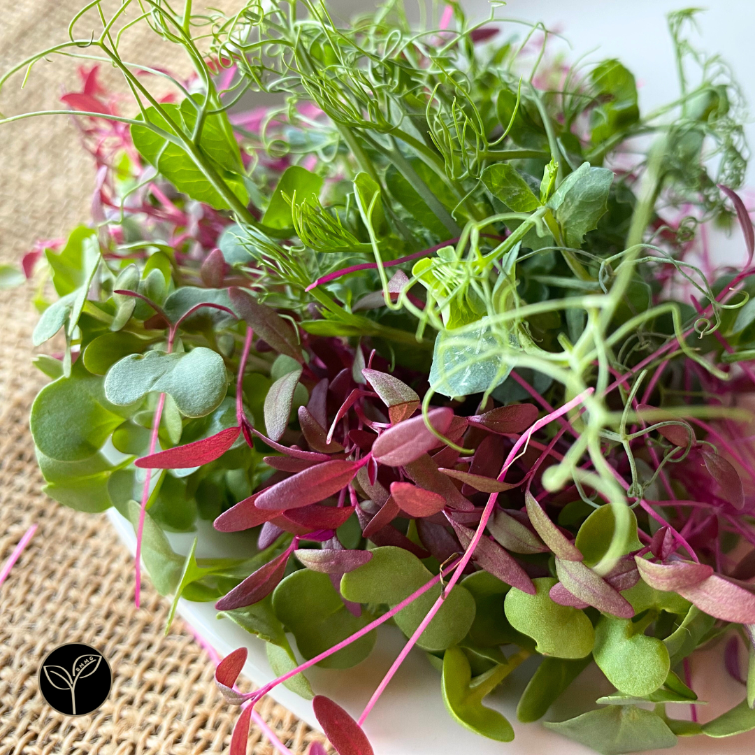 Chef Kim McLendon's Mission Microgreen Mix