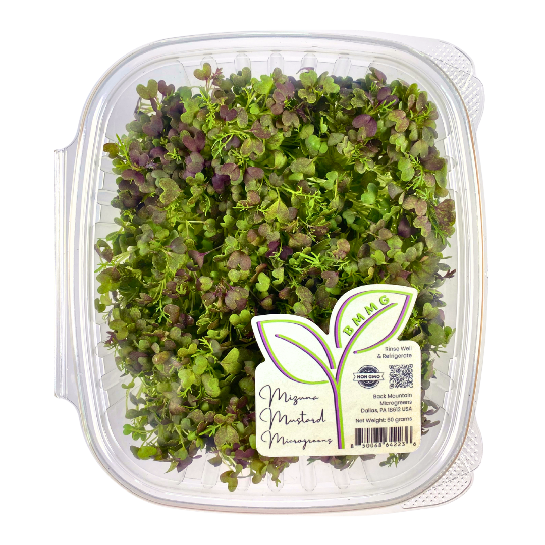 Mizuna Mustard Microgreens