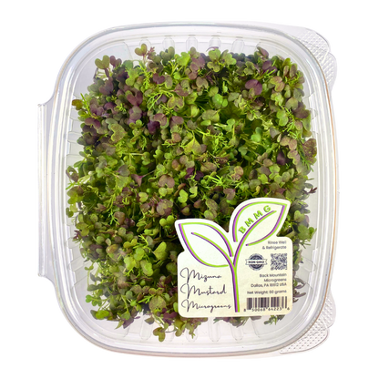 Mizuna Mustard Microgreens
