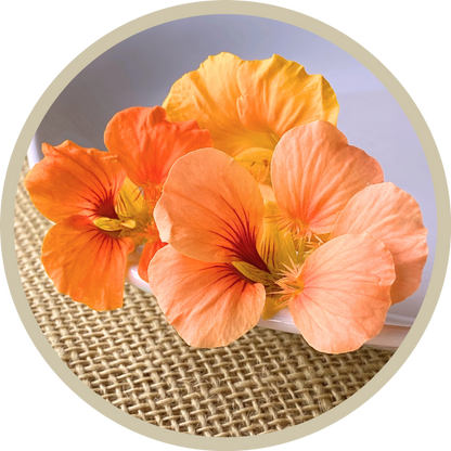 Nasturtium Flowers
