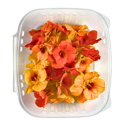 Nasturtium Flowers