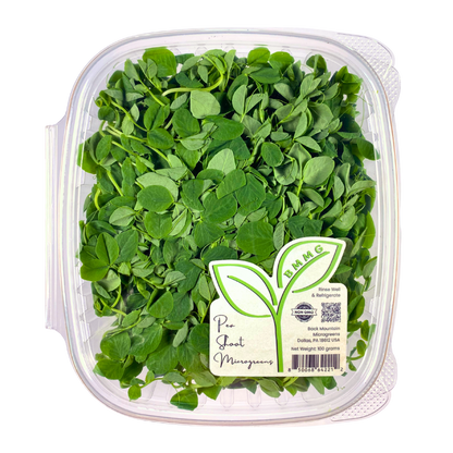 Pea Shoot Microgreens