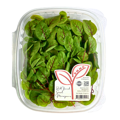 Red Veined Sorrel Microgreens