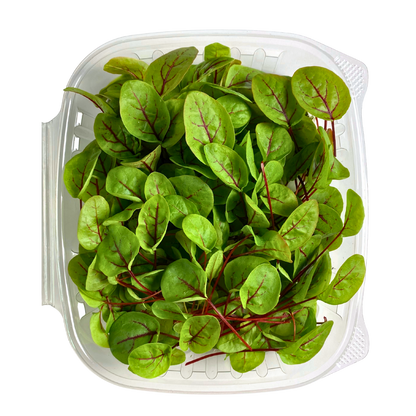 Red Veined Sorrel Microgreens