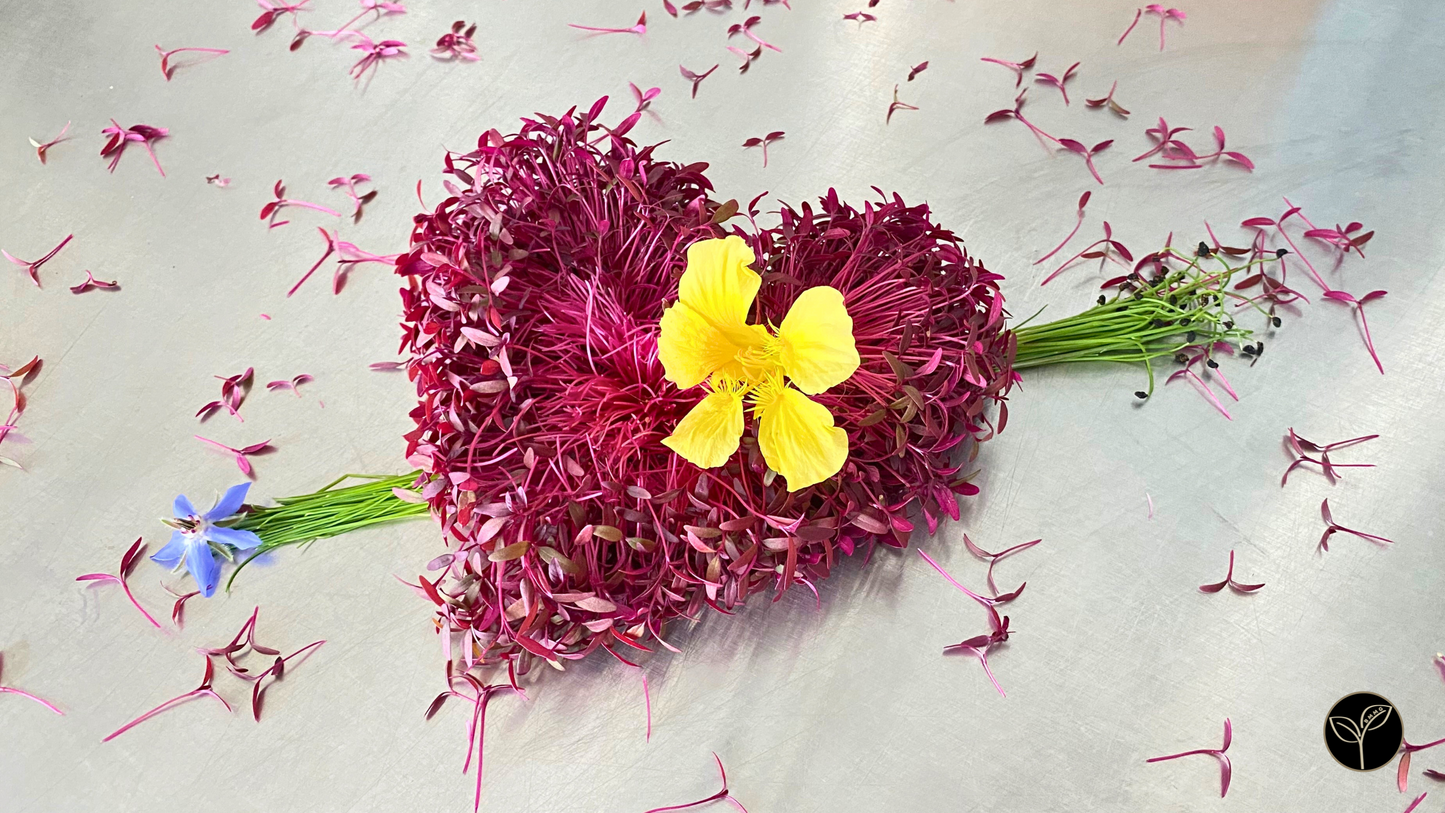 Amaranth Microgreens