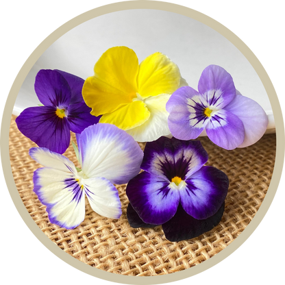 Viola Flower