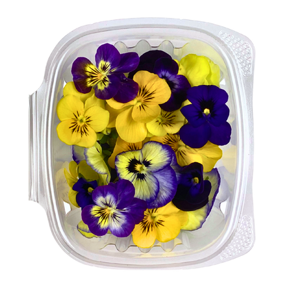 Viola Flower